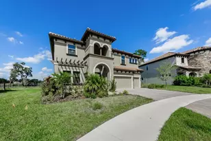 291 Mossy River Ct, Brandon, FL 33511 - Photo 5