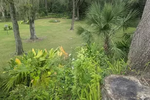 1518 Dawn Heights Dr, Lakeland, FL 33801 - Photo 29