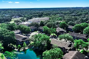 4036 Angel Oak Ct, Tampa, FL 33613 - Photo 19