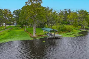 8020 Sharon Dr, Tampa, FL 33617 - Photo 89