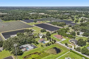 13101 Done Groven Dr, Dover, FL 33527 - Photo 57