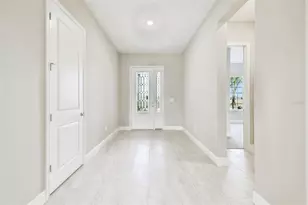 12305 White Blossom Ct, Parrish, FL 34219 - Photo 3