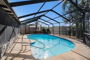 2013 Shadow Pine Dr, Brandon, FL 33511 - Photo 25