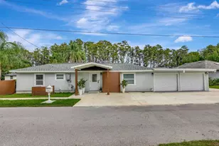 19207 Crooked Ln, Lutz, FL 33548 - Photo 5