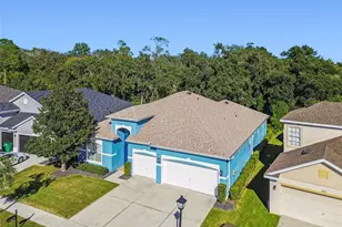 6818 Pine Springs Dr, Wesley Chapel, FL 33545 - Photo 61