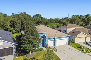 6818 Pine Springs Dr, Wesley Chapel, FL 33545 - Photo 59