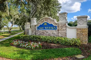 304 Savannah Oaks Pl, Seffner, FL 33584 - Photo 35