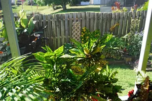 168 Pinewood Terrace, Safety Harbor, FL 34695 - Photo 21