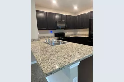 10853 Trailing Vine Drive, Tampa, FL 33610 - Photo 9