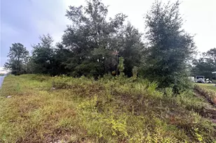 SW 140th Ct, Ocala, FL 34481 - Photo 1