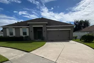36246 Delta Gold Ct, Zephyrhills, FL 33541 - Photo 1