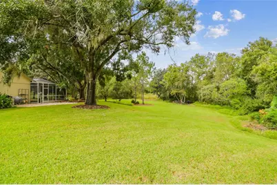 16916 Filly Lane, Odessa, FL 33556 - Photo 43