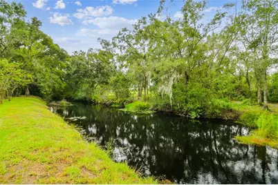16916 Filly Lane, Odessa, FL 33556 - Photo 53