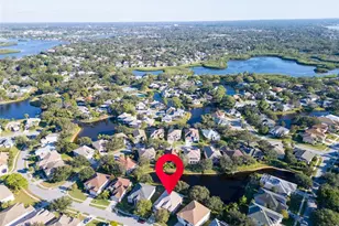 1122 S Pointe Alexis Dr, Tarpon Springs, FL 34689 - Photo 49