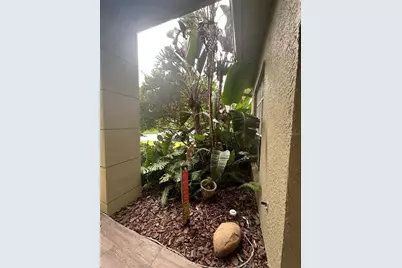 1654 Bayhill Drive, Oldsmar, FL 34677 - Photo 5