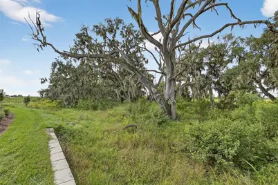 4025 Westwood Fields Loop, Plant City, FL 33565 - Photo 55