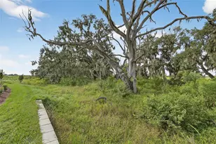 4025 Westwood Fields Loop, Plant City, FL 33565 - Photo 55