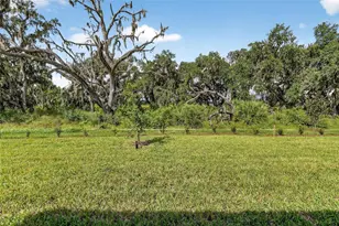 4025 Westwood Fields Loop, Plant City, FL 33565 - Photo 45