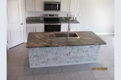 5289 Fiddle Fig Avenue, Wimauma, FL 33598 - Photo 13