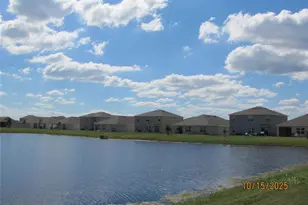 5289 Fiddle Fig Ave, Wimauma, FL 33598 - Photo 37