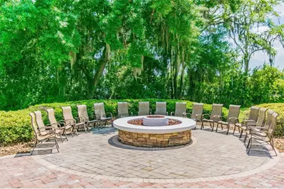 7842 Citrus Blossom Drive, Land O Lakes, FL 34637 - Photo 61