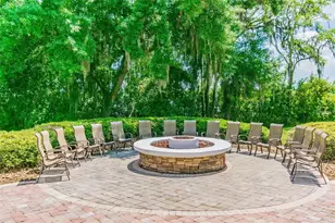 7842 Citrus Blossom Dr, Land O Lakes, FL 34637 - Photo 61