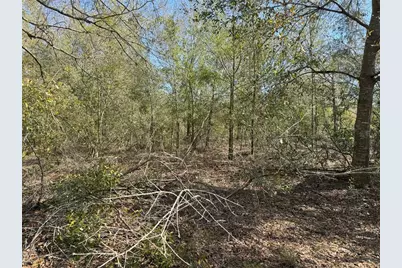 0 Lake Buffum Road, Lake Wales, FL 33859 - Photo 17