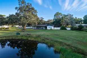 4814 Knights Loop, Plant City, FL 33565 - Photo 3