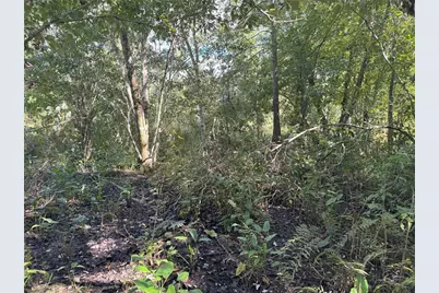 0 Alturas Babson Park Cut Off Road, Bartow, FL 33830 - Photo 17