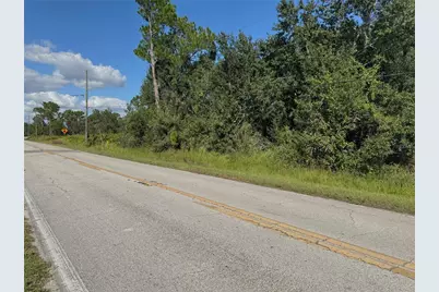 0 Alturas Babson Park Cut Off Road, Bartow, FL 33830 - Photo 1