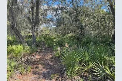 0 Alturas Babson Park Cut Off Road, Bartow, FL 33830 - Photo 5