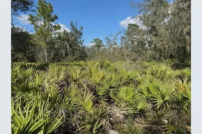 0 Alturas Babson Park Cut Off Road, Bartow, FL 33830 - Photo 3