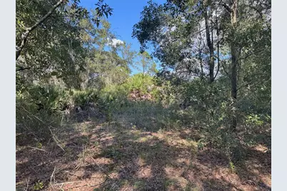 0 Alturas Babson Park Cut Off Road, Bartow, FL 33830 - Photo 15