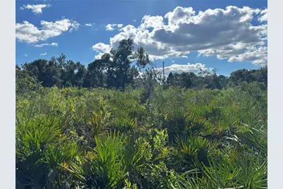0 Alturas Babson Park Cut Off Road, Bartow, FL 33830 - Photo 11