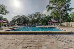 4969 Kilkenney Way, Oldsmar, FL 34677 - Photo 89