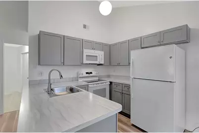 3612 Glenmac Court, Palm Harbor, FL 34684 - Photo 11