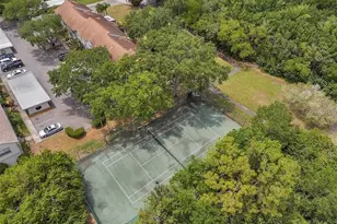 2943 Lichen Ln, Clearwater, FL 33760 - Photo 41