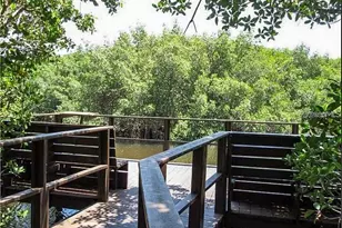 2943 Lichen Ln, Clearwater, FL 33760 - Photo 47