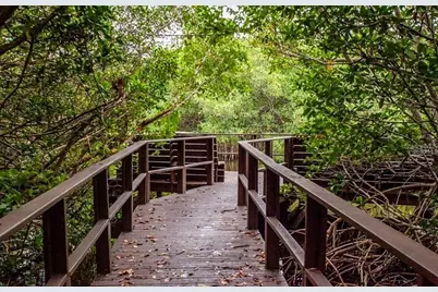 2943 Lichen Lane #B, Clearwater, FL 33760 - Photo 53