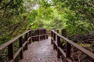 2943 Lichen Ln, Clearwater, FL 33760 - Photo 53