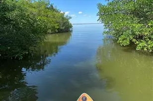 2943 Lichen Ln, Clearwater, FL 33760 - Photo 45