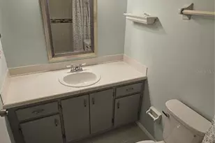 2943 Lichen Ln, Clearwater, FL 33760 - Photo 21