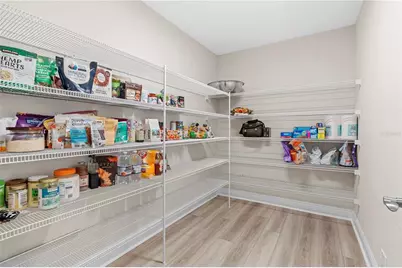 14868 Summer Branch Drive, Lithia, FL 33547 - Photo 25