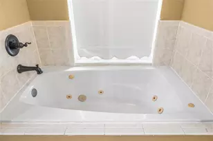 24437 Painter Dr, Land O Lakes, FL 34639 - Photo 29