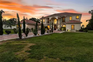 10908 Flint Estates Dr, Thonotosassa, FL 33592 - Photo 97