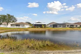 6843 Boulder Run Loop, Wesley Chapel, FL 33545 - Photo 65