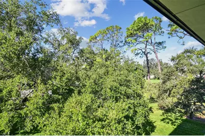 36750 US Highway 19 #26301, Palm Harbor, FL 34684 - Photo 63