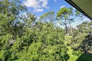 36750 US Hwy 19, Palm Harbor, FL 34684 - Photo 63