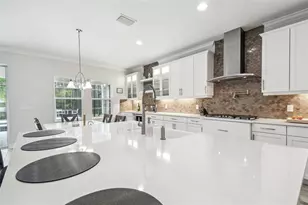 16519 Frehley Run, Land O Lakes, FL 34638 - Photo 23