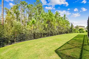 16519 Frehley Run, Land O Lakes, FL 34638 - Photo 89
